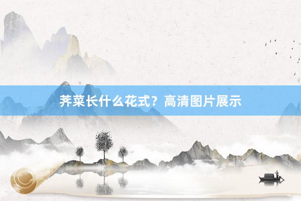 荠菜长什么花式？高清图片展示